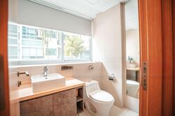 The Stellar (D5), Condominium #447557221